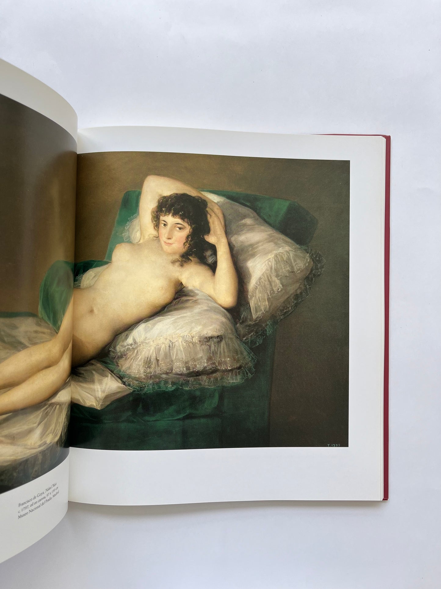 Venus at her Mirror: Velazquez and the Art of Nude Painting (Art &