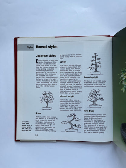 Bonsai From Native Trees and Shrubs