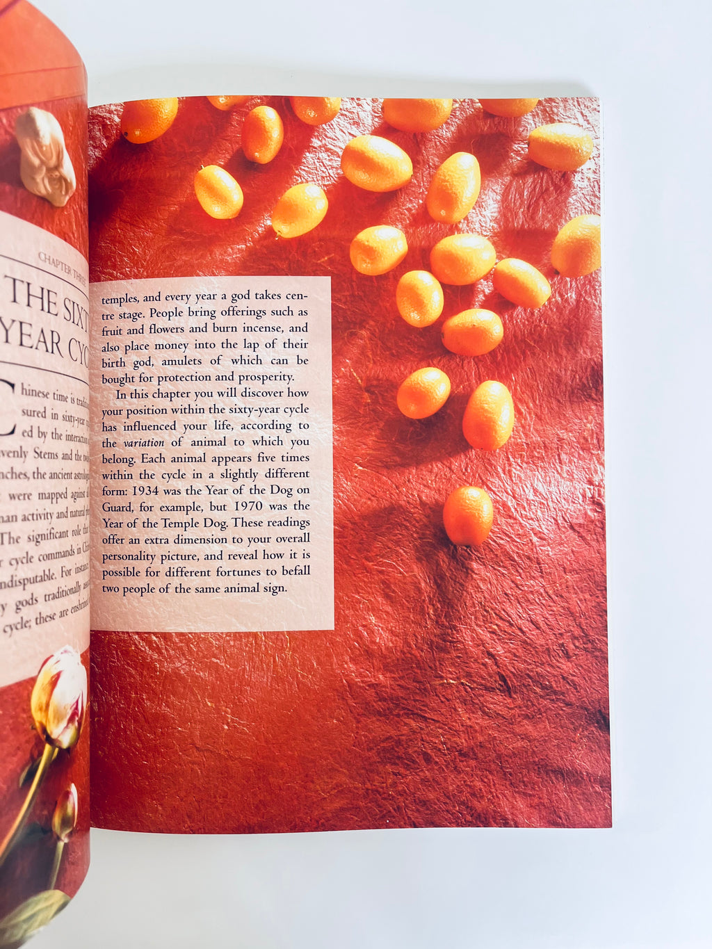 ჩინური ასტროლოგია: იწინასწარმეტყველე შენი მომავალი შენი ჩინური ჰოროსკოპიდან 