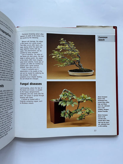 Bonsai From Native Trees and Shrubs