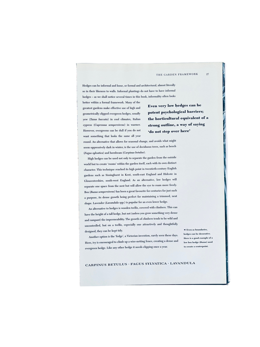 არქიტექტურული მცენარეები