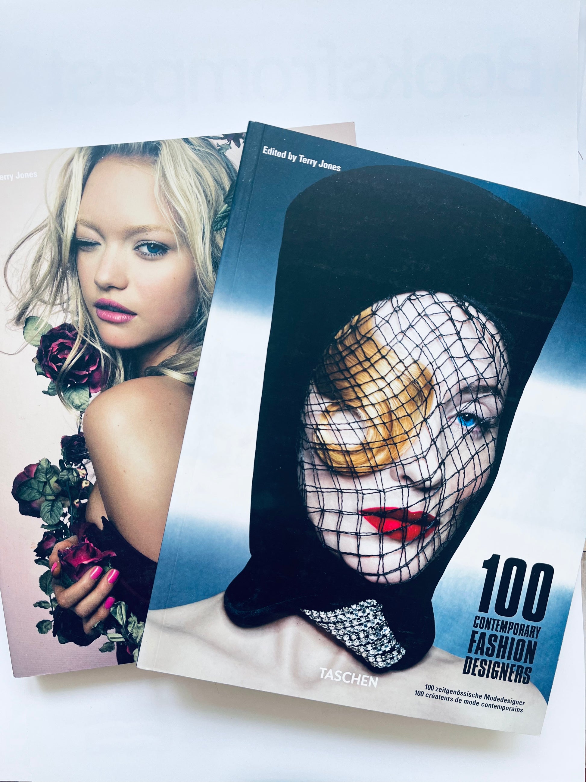 100 Contemporary Fashion Designers (25) von Terry Jones von 100 Contemporary Fashion Designers (25) von Terry Jones von