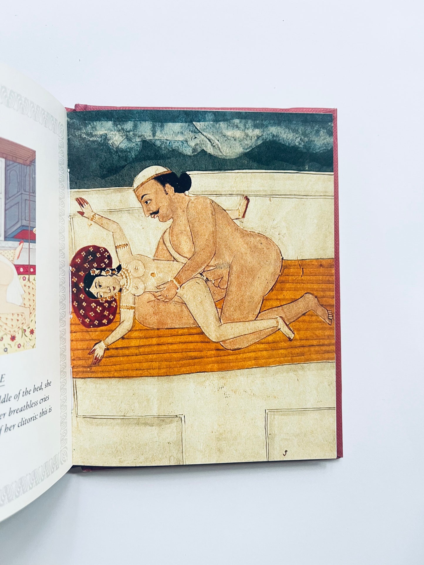 Kama Sutra (Pillow books)