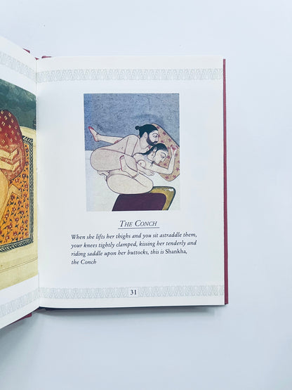 Kama Sutra (Pillow books)