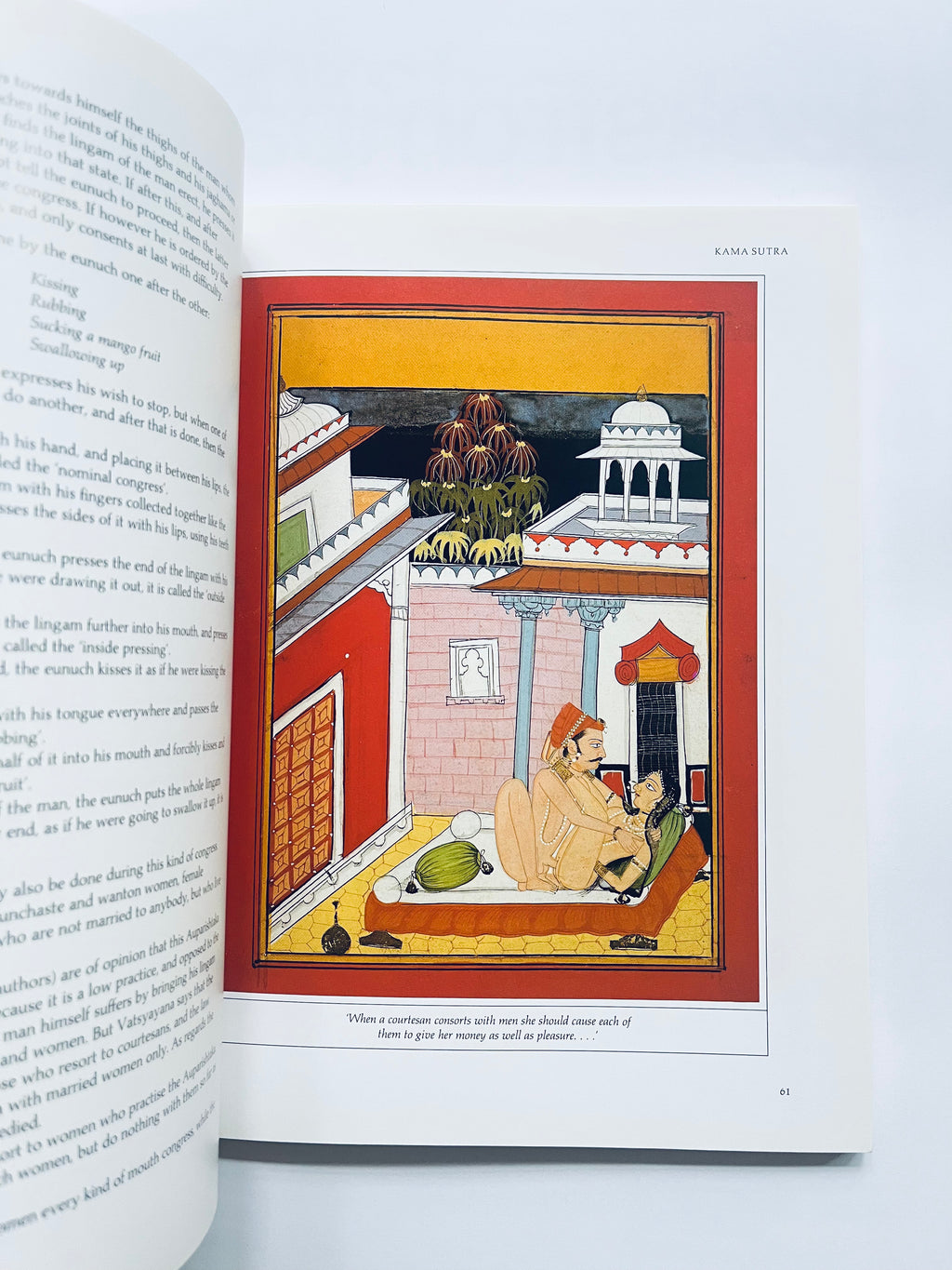 Kama Sutra. Illustrated Kama Sutra