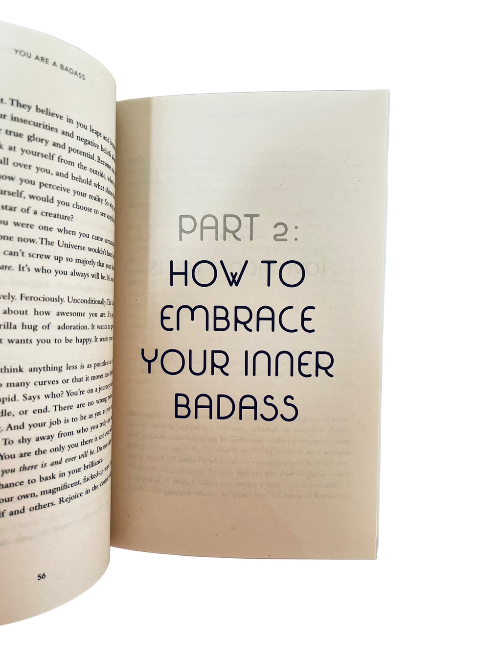 You are a Badass-Jen Sincero
