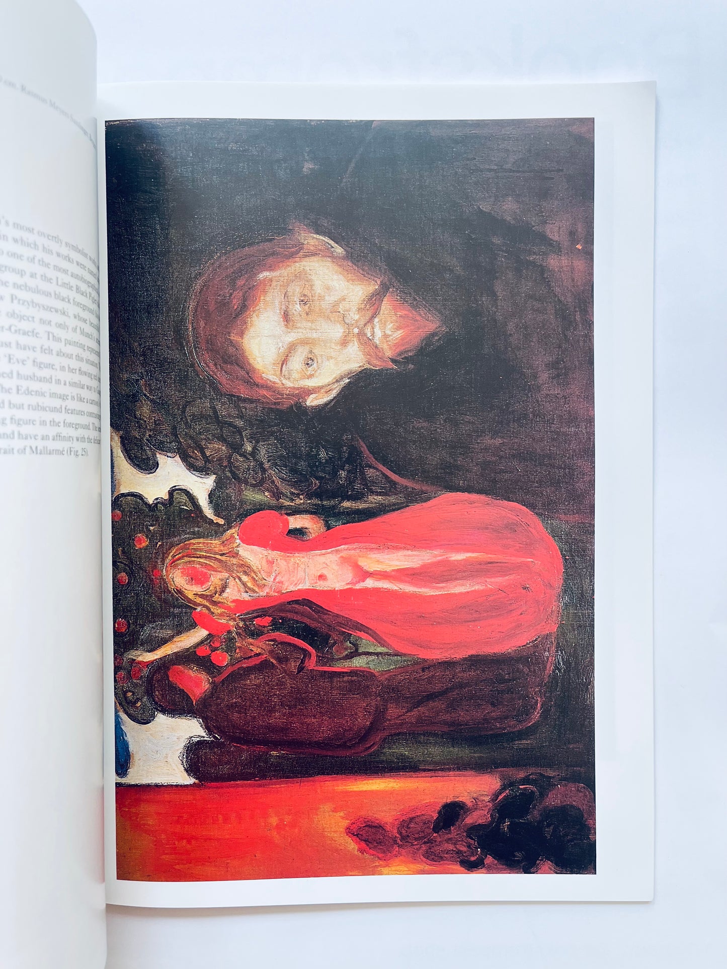 Munch (Phaidon Colour Library)