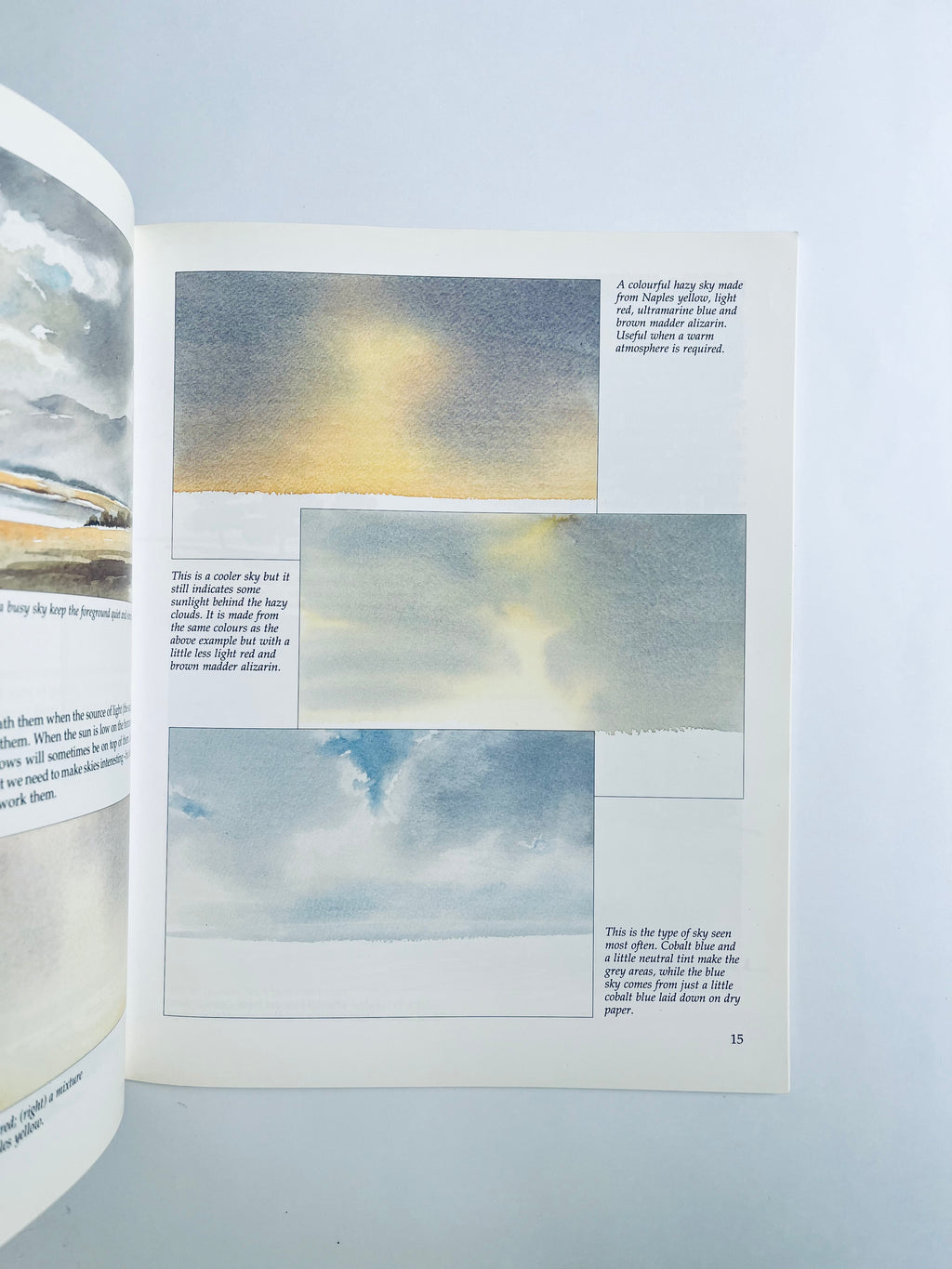 Wet-into-Wet Watercolour Technique