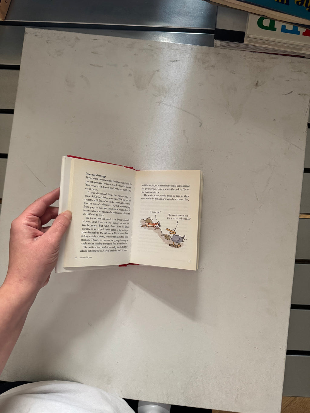 Chats with cats - Celia Haddon