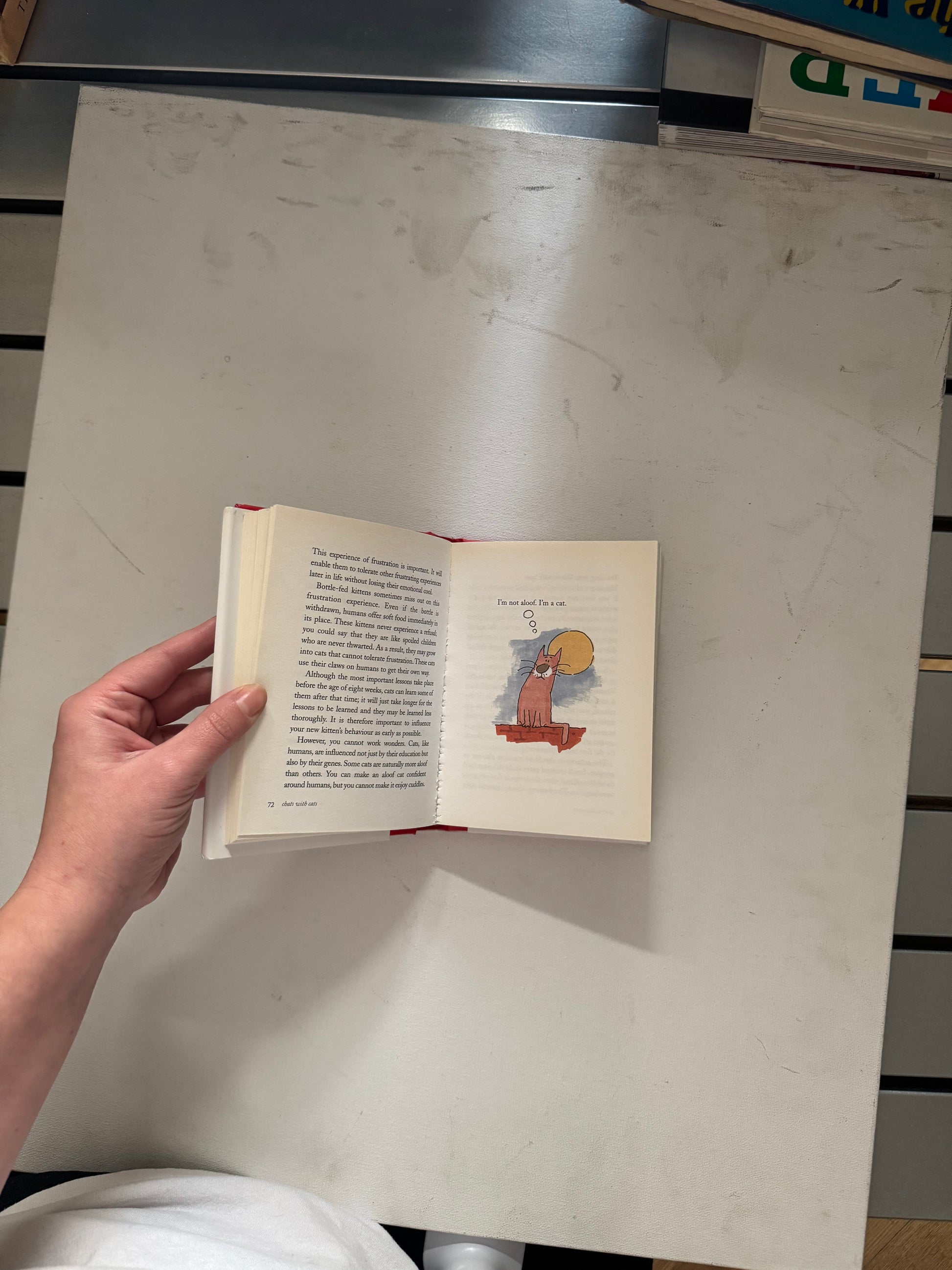 Chats with cats - Celia Haddon