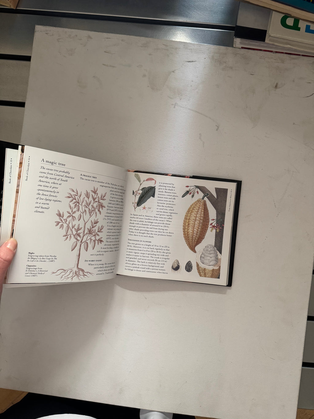 The Little Chocolate Cookbook