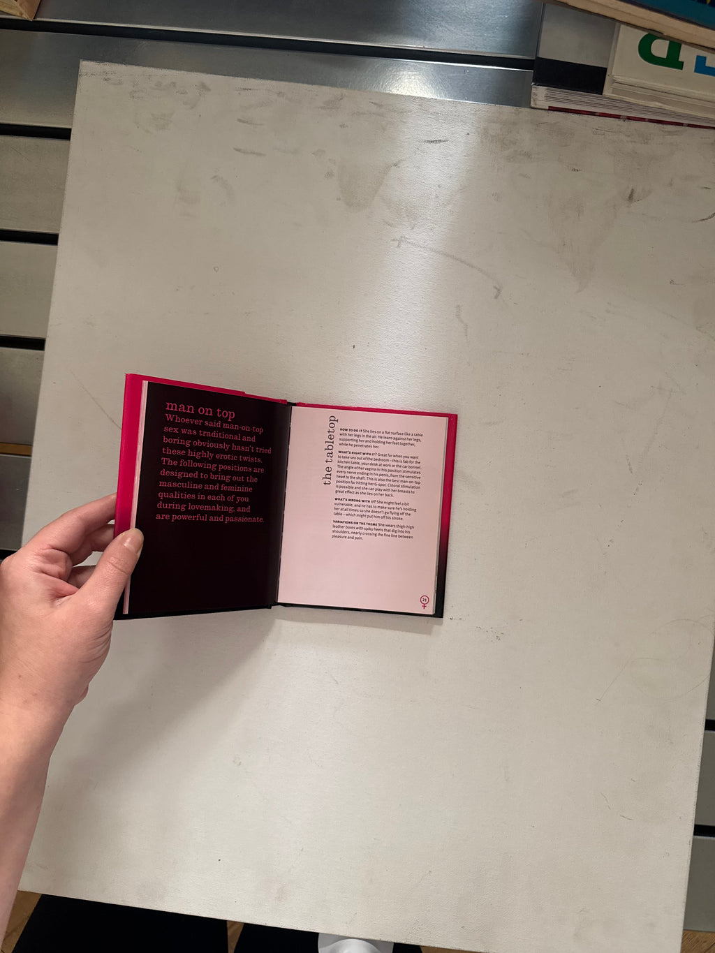 The Ann Summers Book of Red Hot & Rude Positions