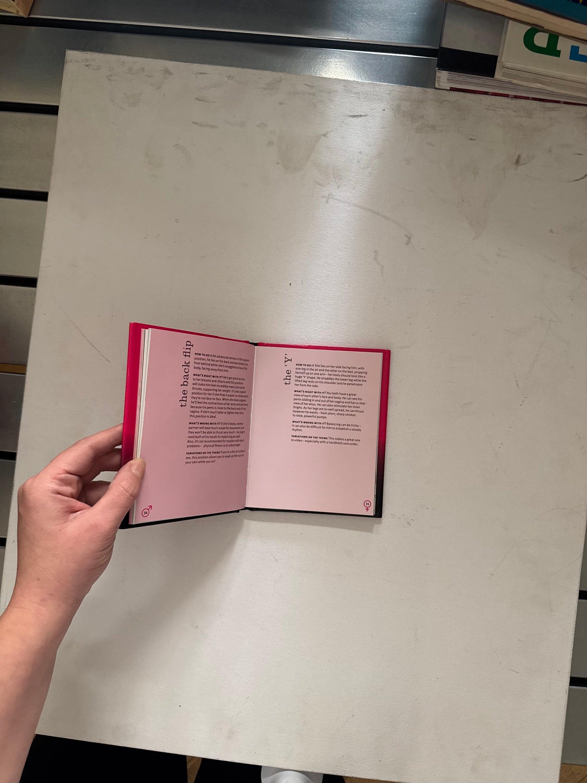 The Ann Summers Book of Red Hot & Rude Positions
