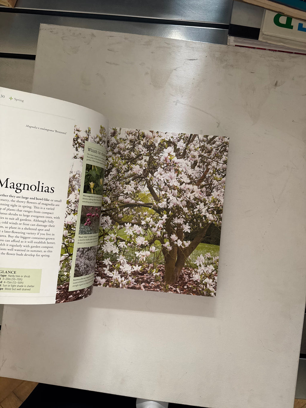 Gardener’s Year