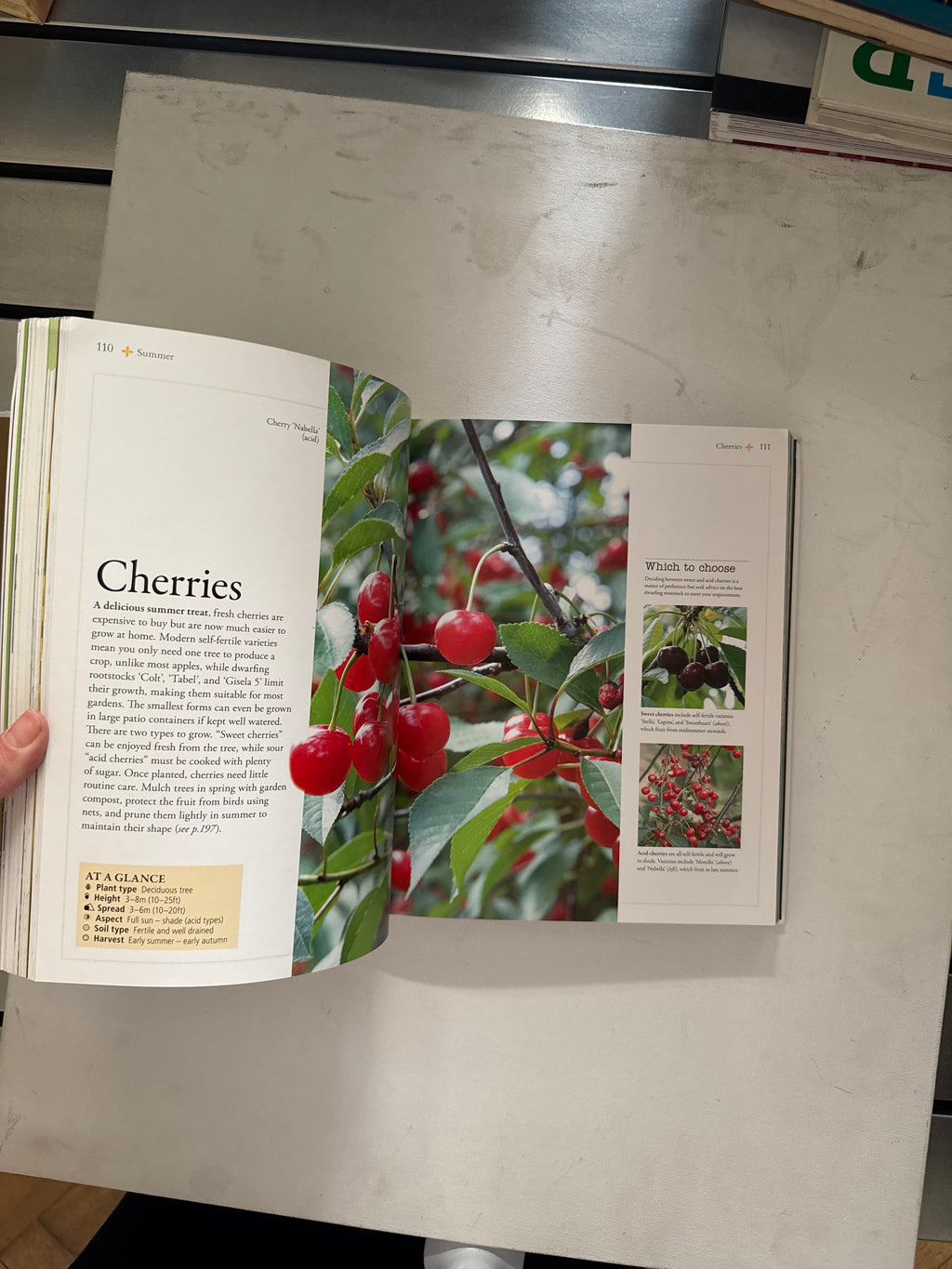 Gardener’s Year