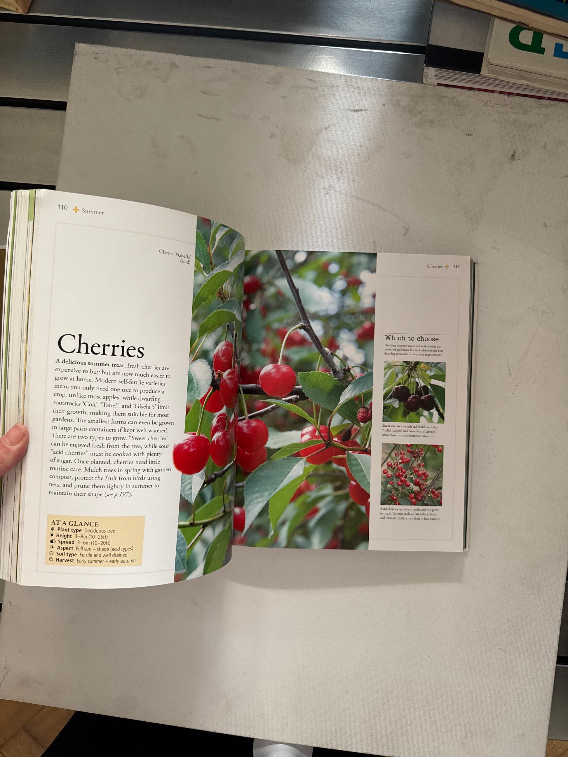 Gardener’s Year