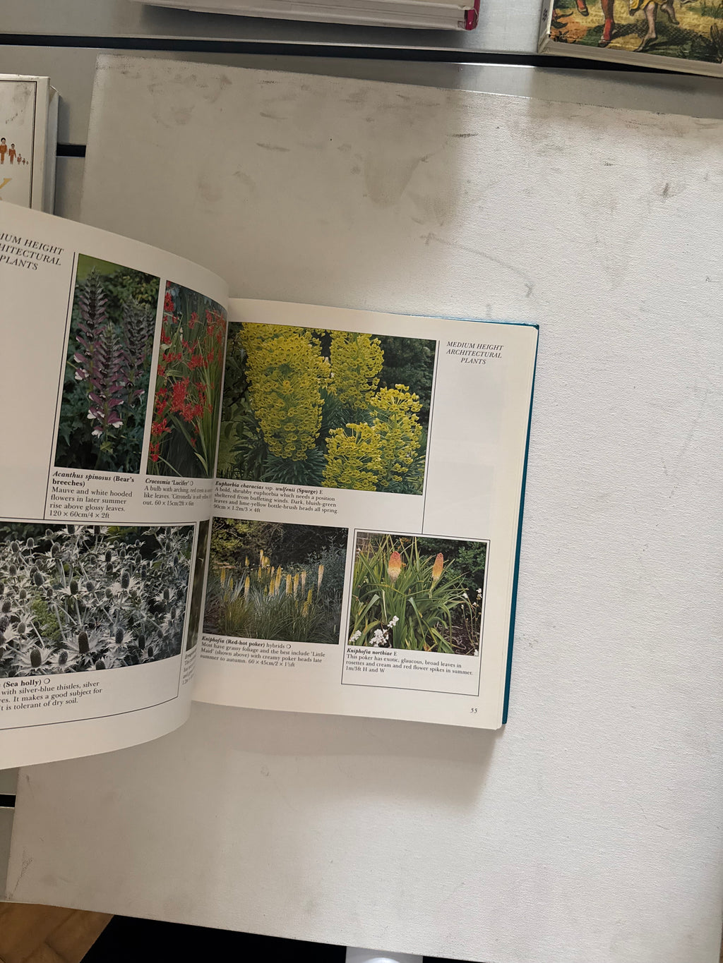 Place that Plant