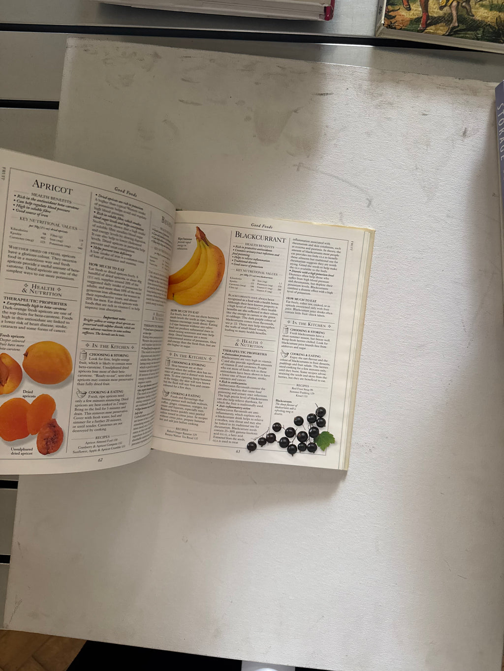 Miriam Polunin - Healing Foods