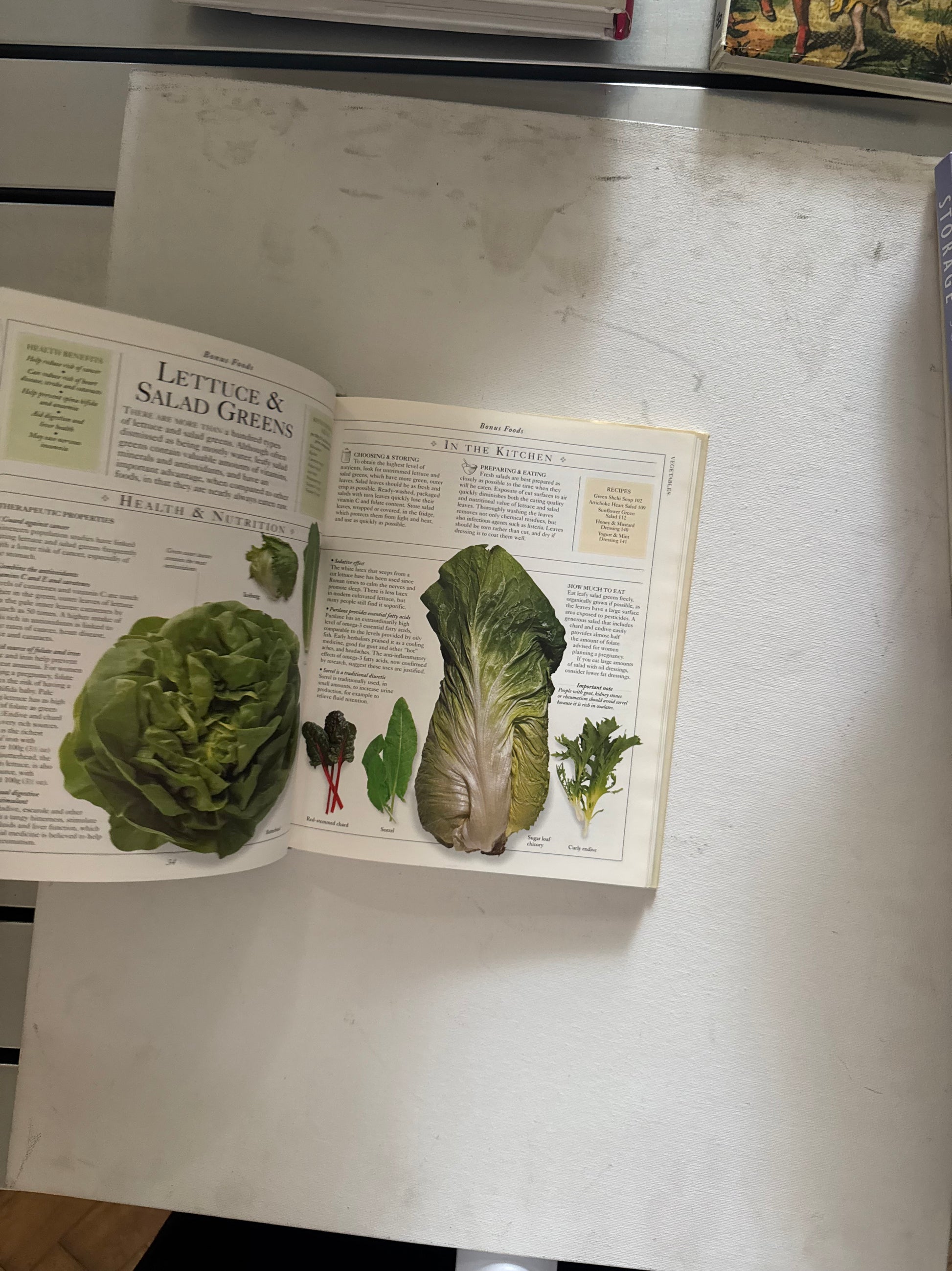 Miriam Polunin - Healing Foods