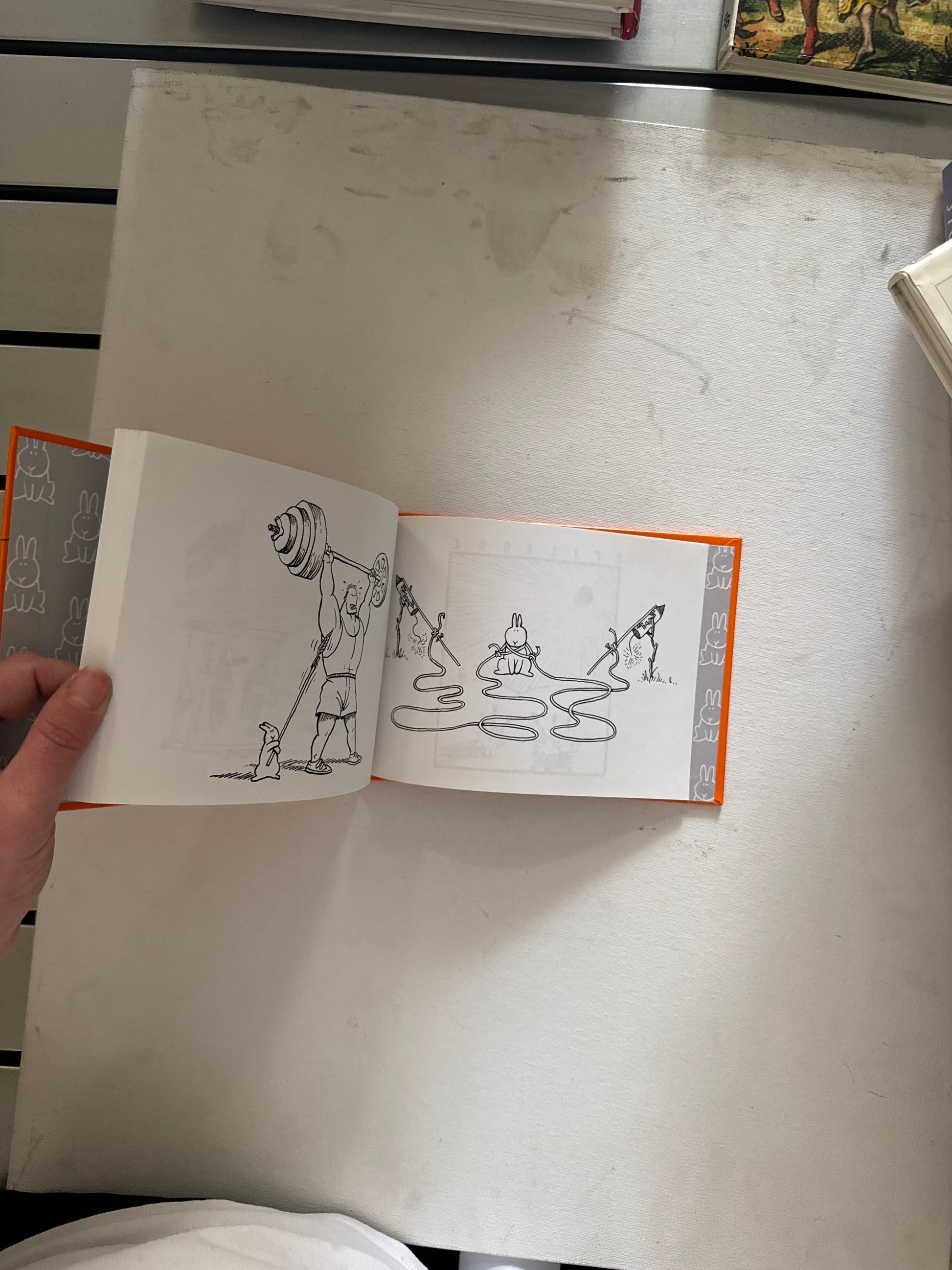 Andy Riley - The book of bunny suicides