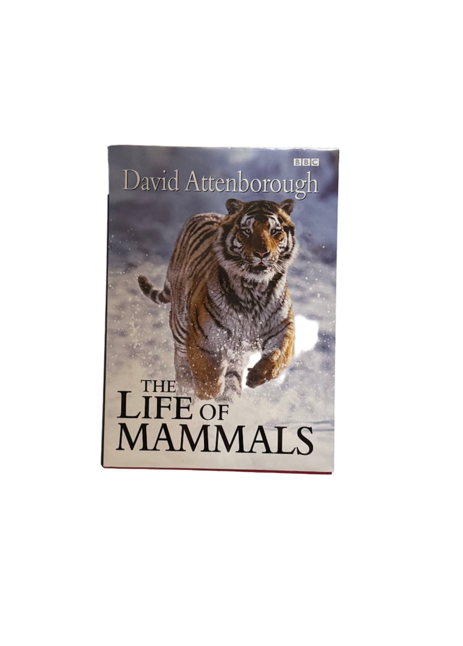 David Attenborough - The Life of Mammals