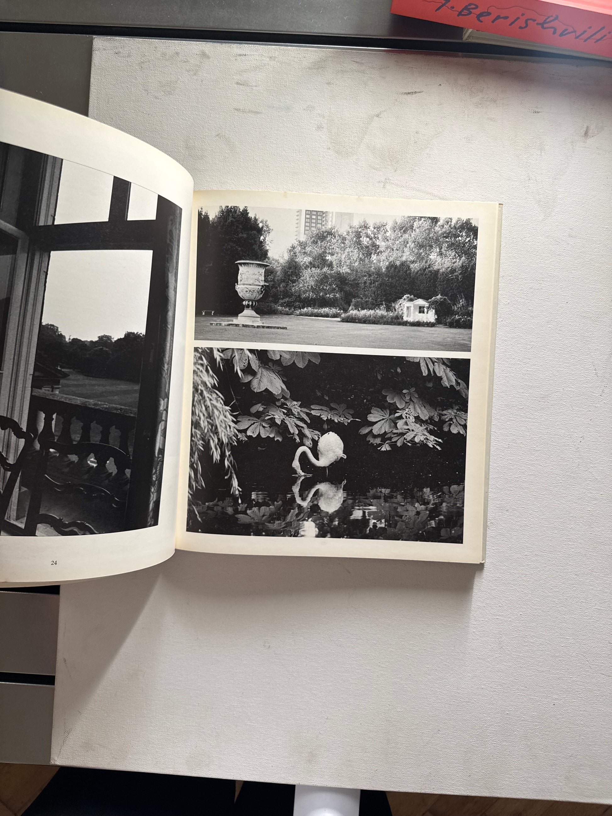 HRH The Prince Andrew - Photograph