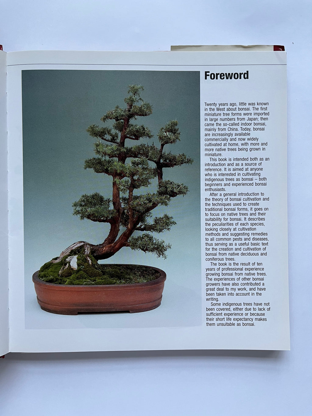 ბონსაი მშობლიური ხეებიდან და ბუჩქებიდან