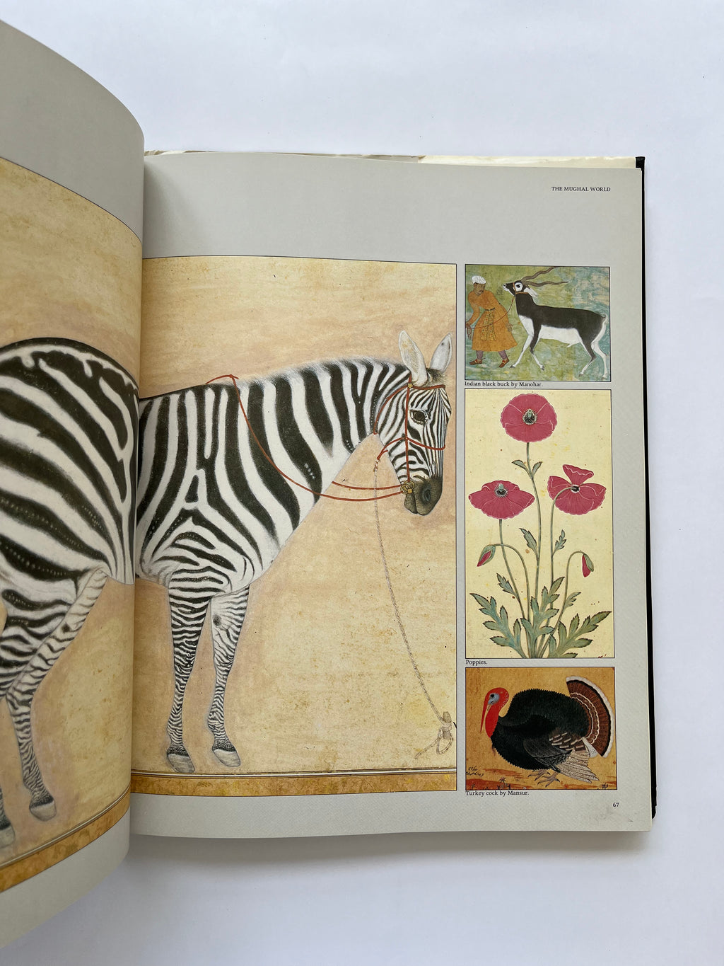 ისლამური სამყაროს ატლასი 1500 წლიდან