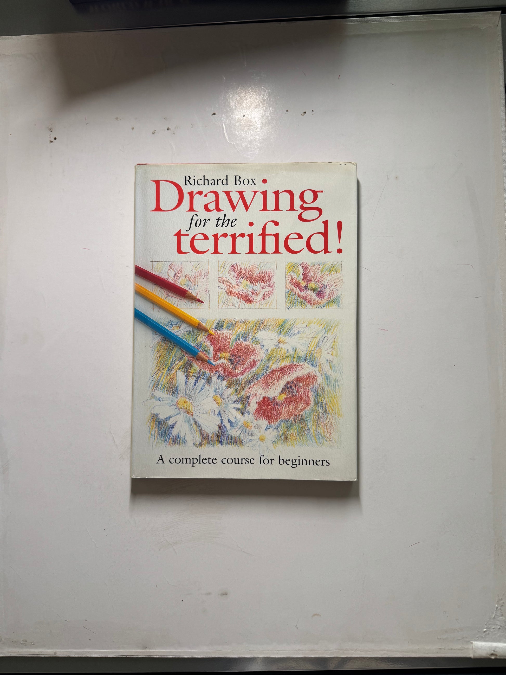 Drawing for the terrified!
