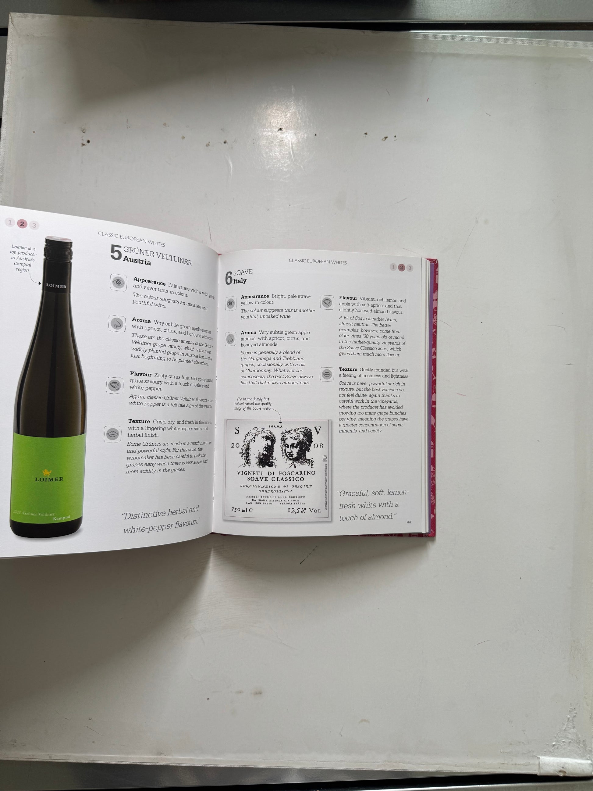 A little course in Wine Tasting