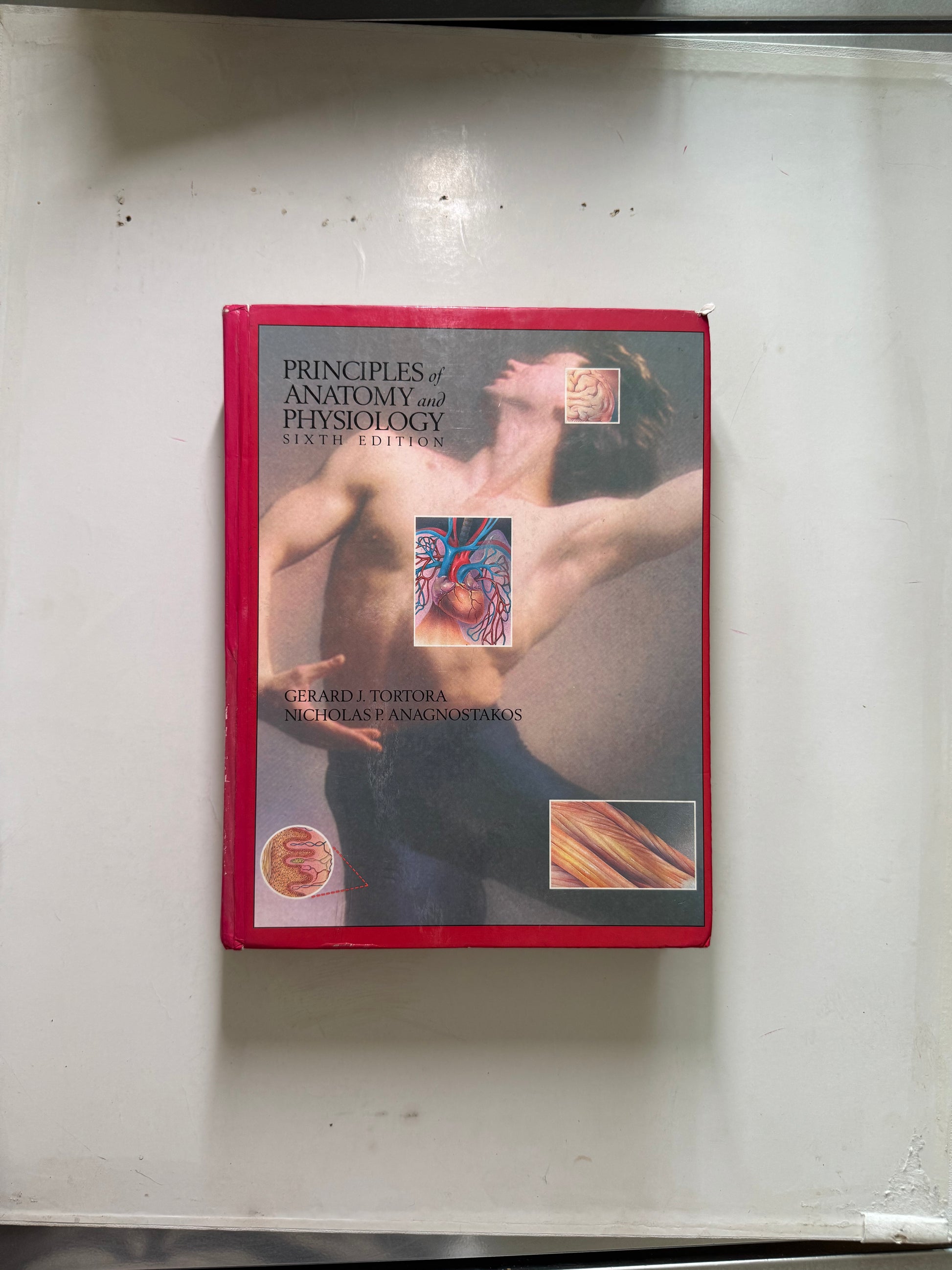 Principles of Anatomy and Physiology