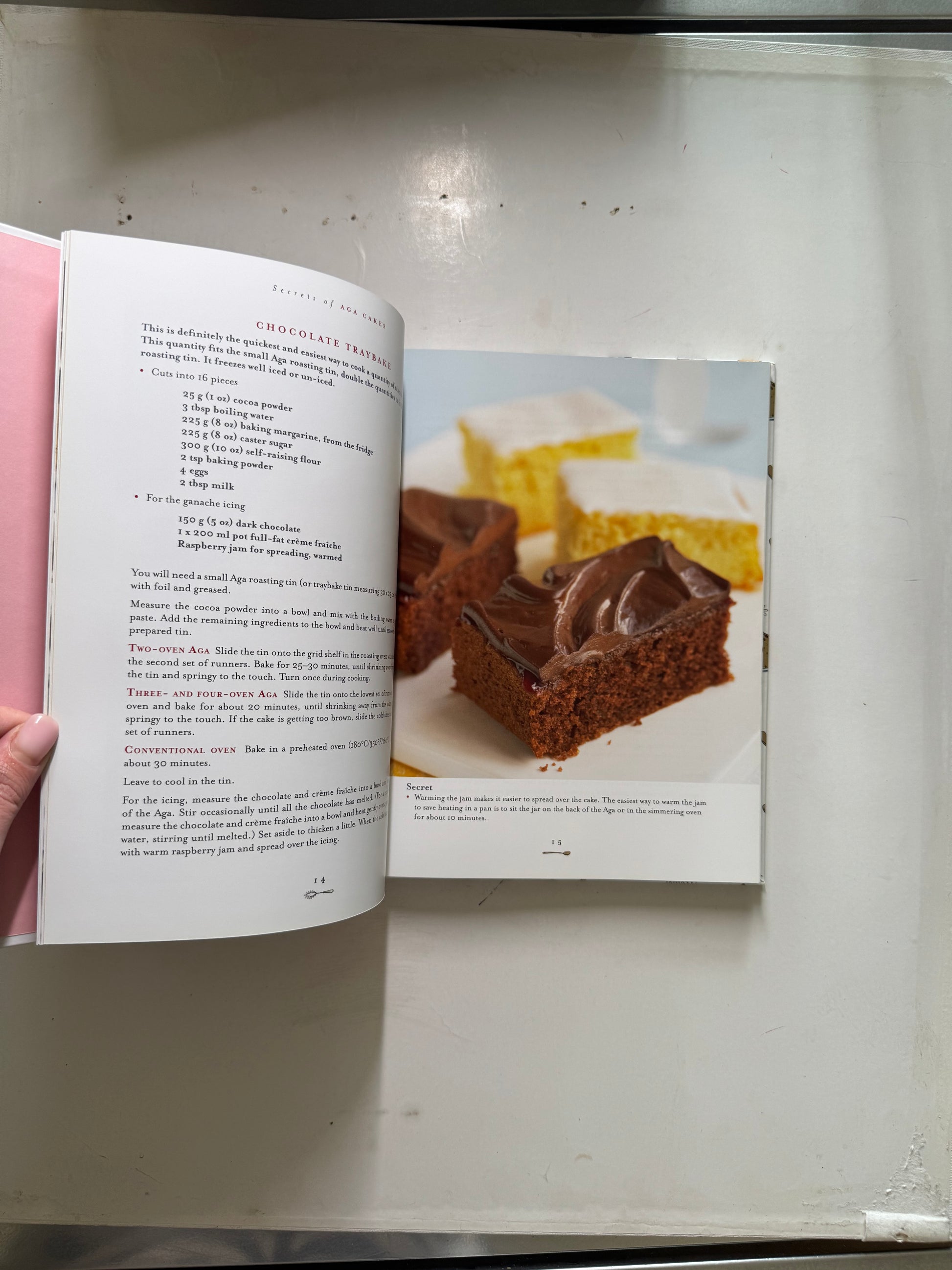 Secrets of Aga Cakes