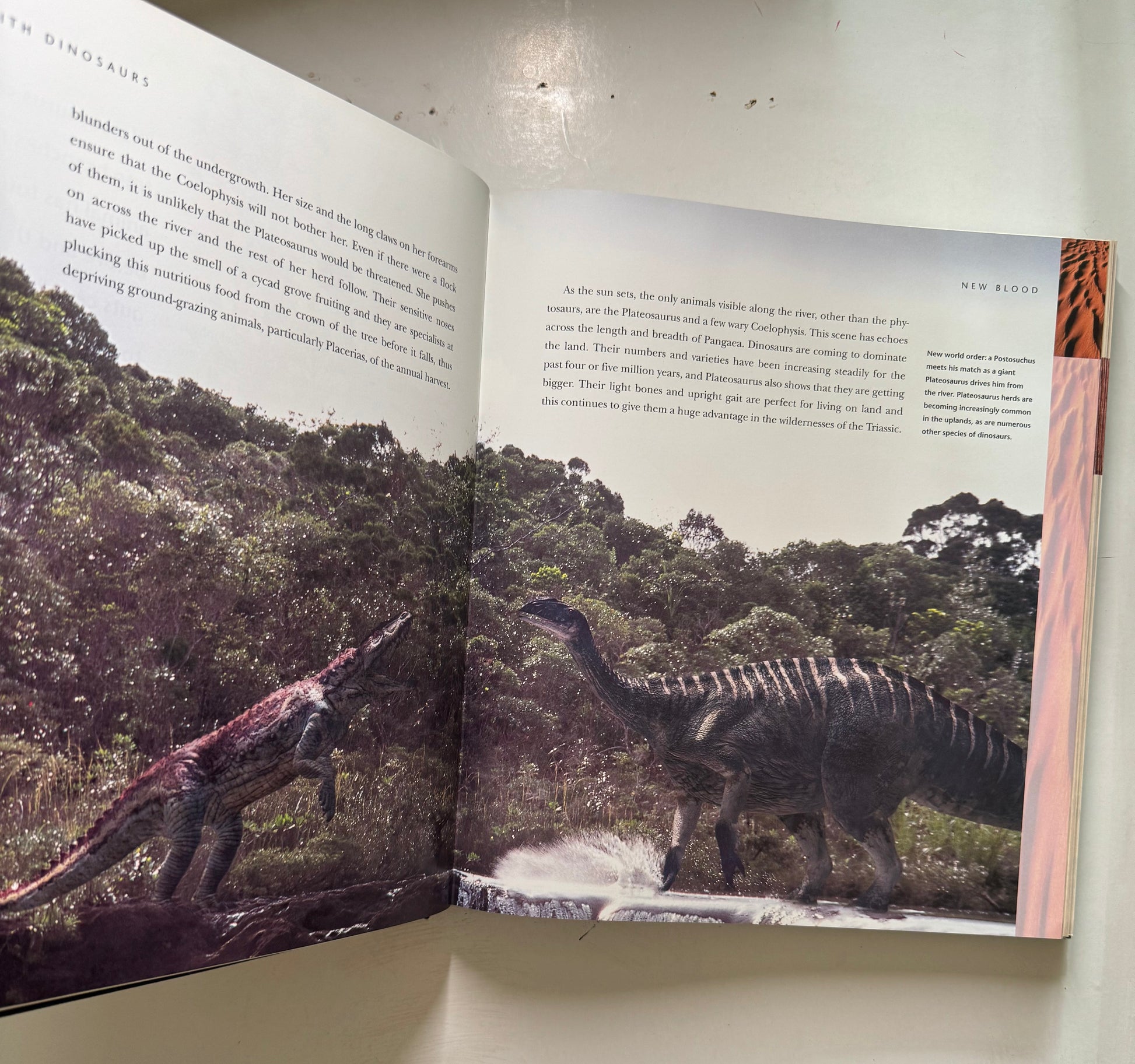 Walking with Dinosaurs a Natural History