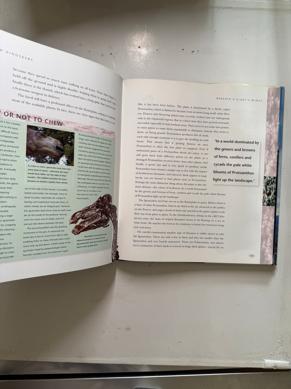 Walking with Dinosaurs a Natural History