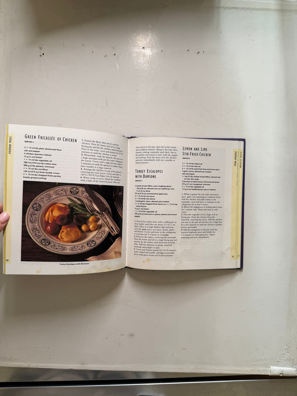 Top 100 poultry dishes