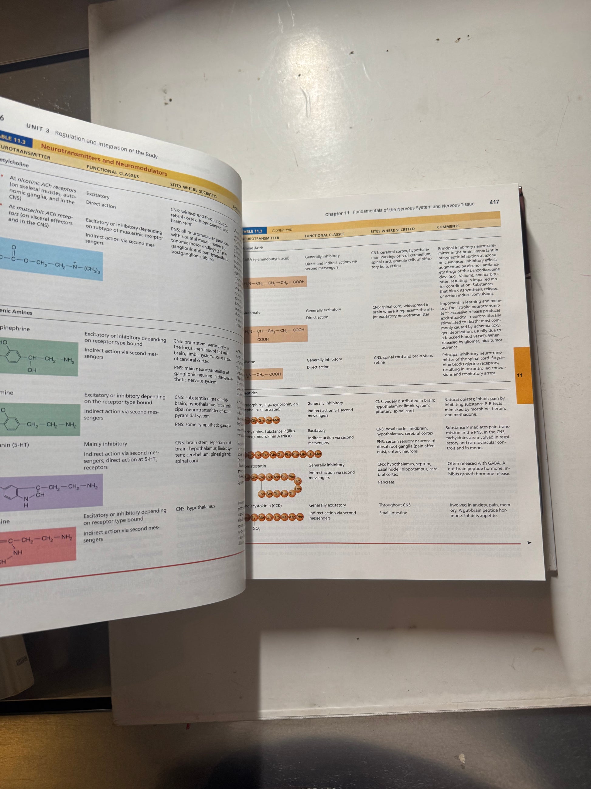 Human Anatomy & Physiology