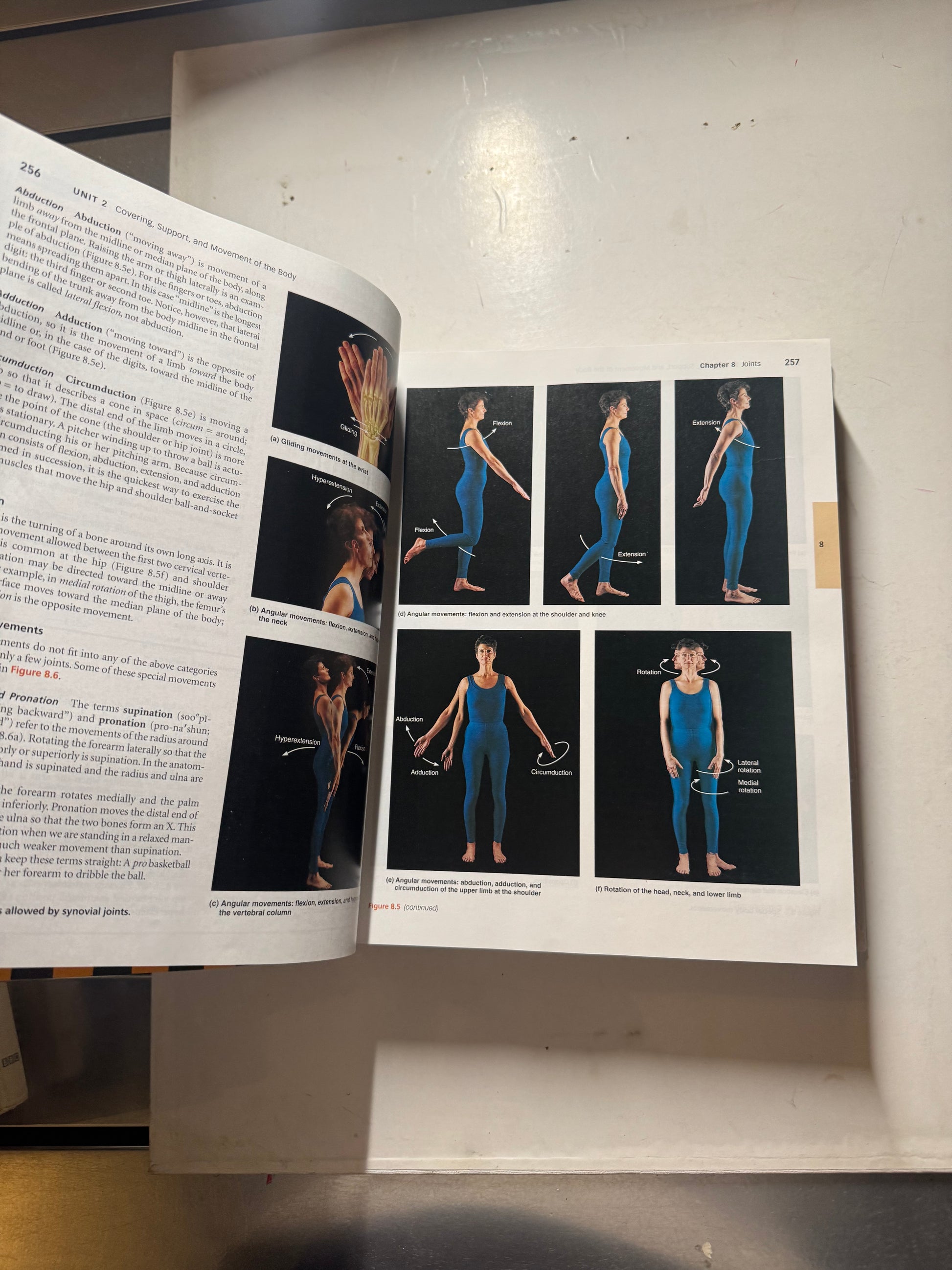 Human Anatomy & Physiology