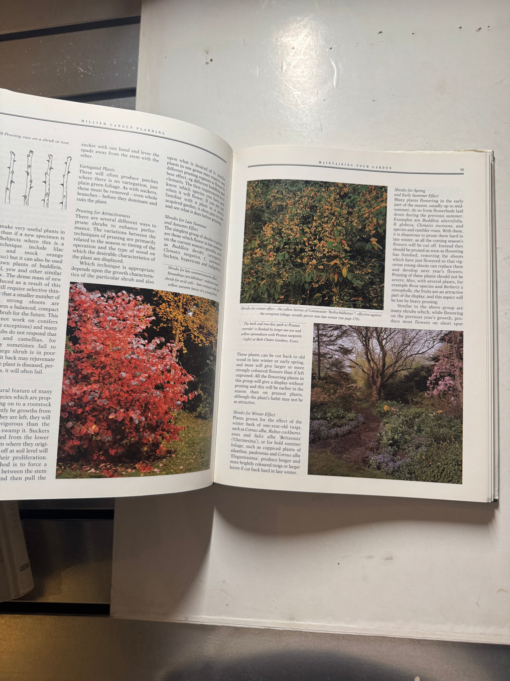 Garden Planning