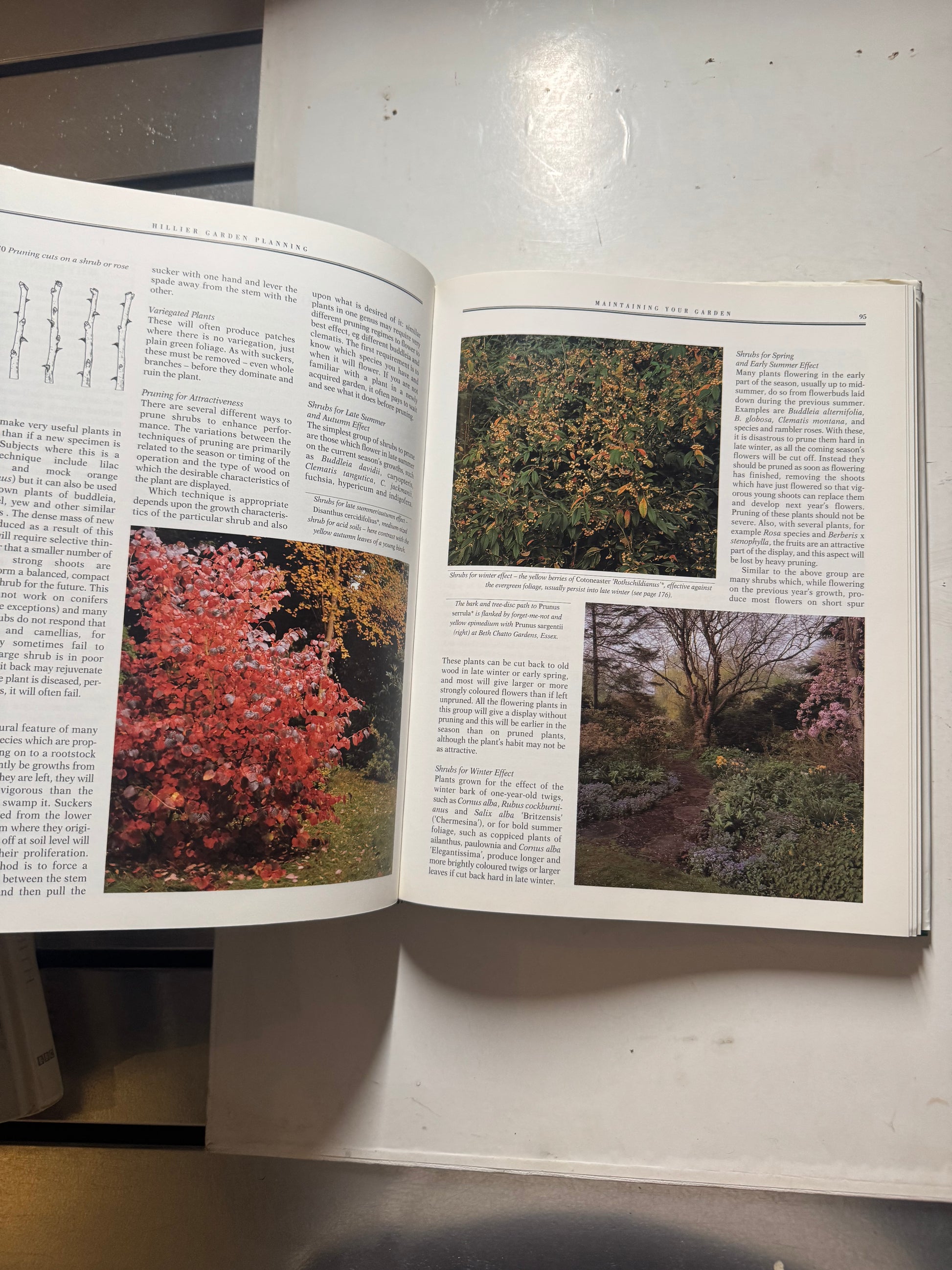 Garden Planning