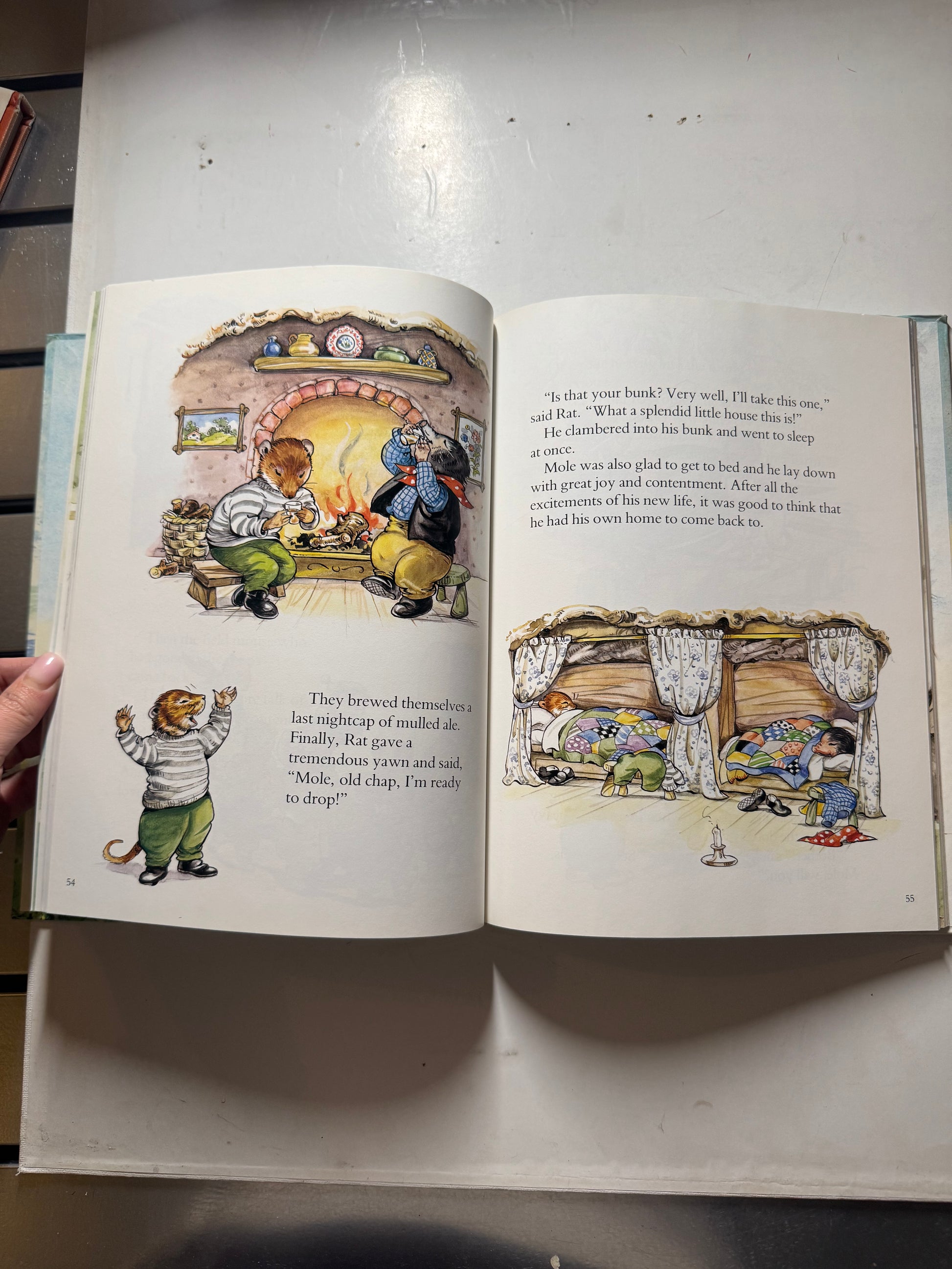 The Wind in The Willows