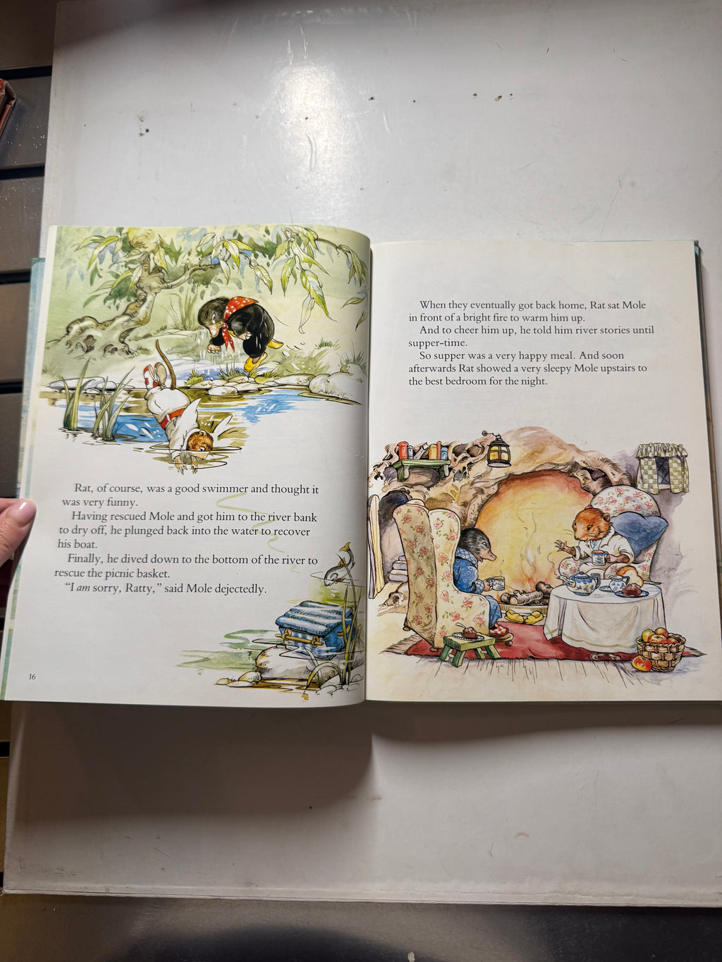 The Wind in The Willows