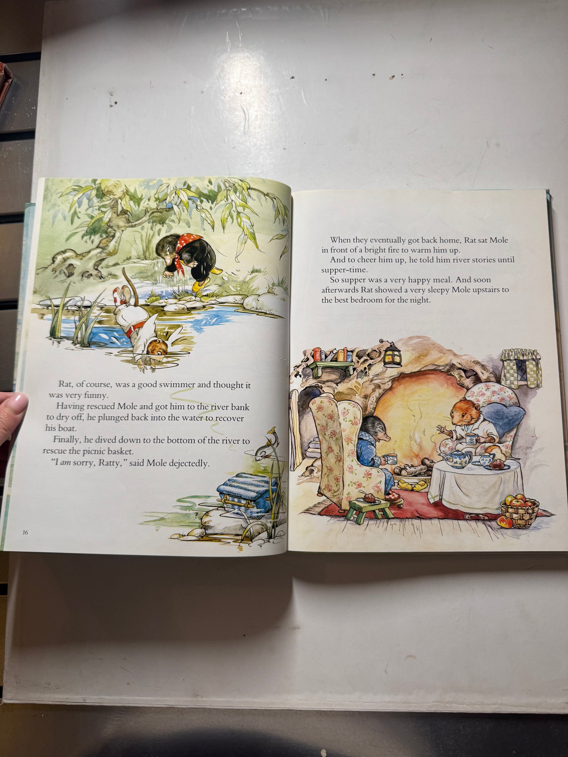 The Wind in The Willows