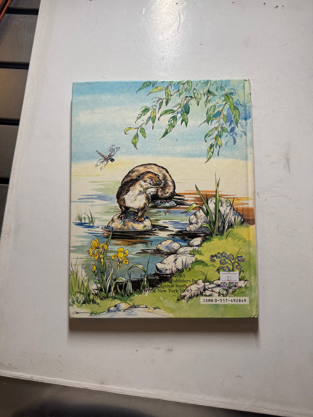 The Wind in The Willows