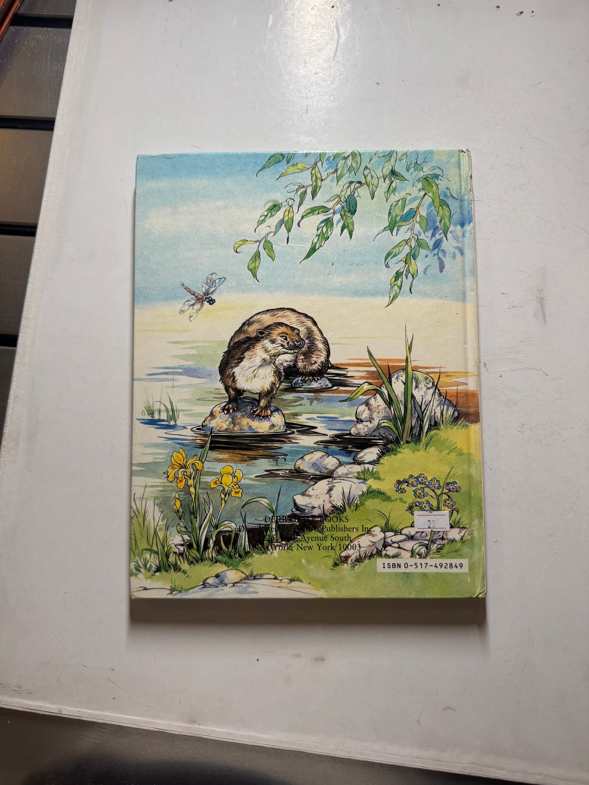 The Wind in The Willows