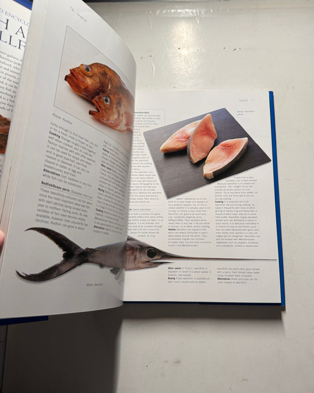 The World Encyclopedia of Fish and Shellfish