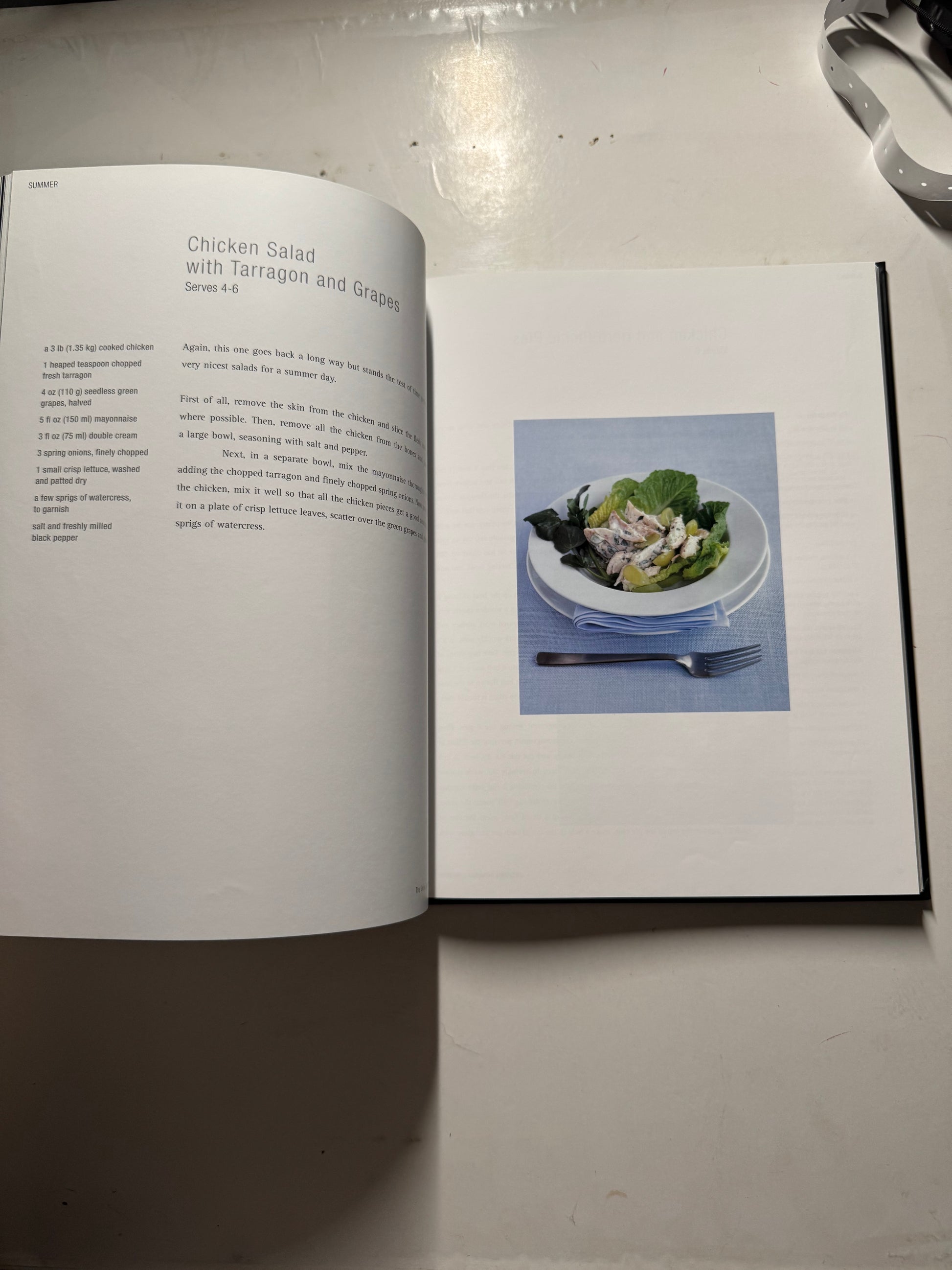 The Delia Collection Chicken