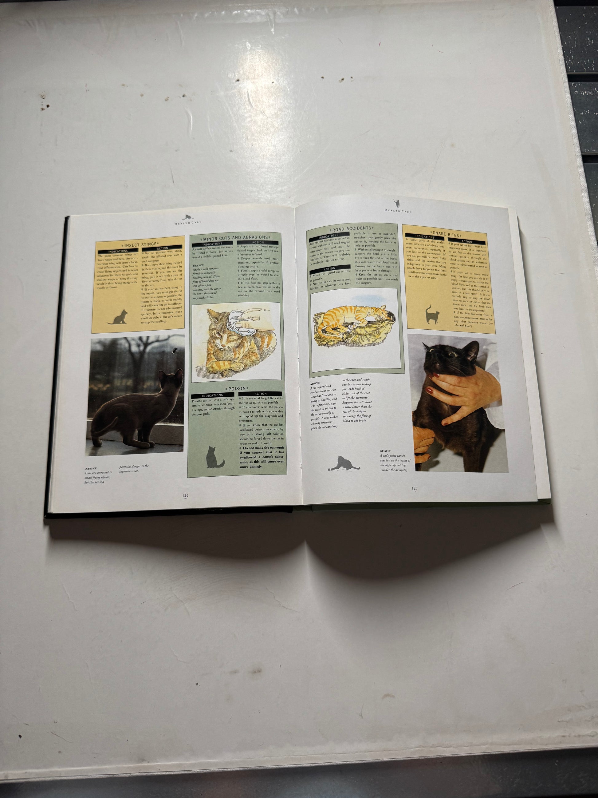 The Complete Cat Book