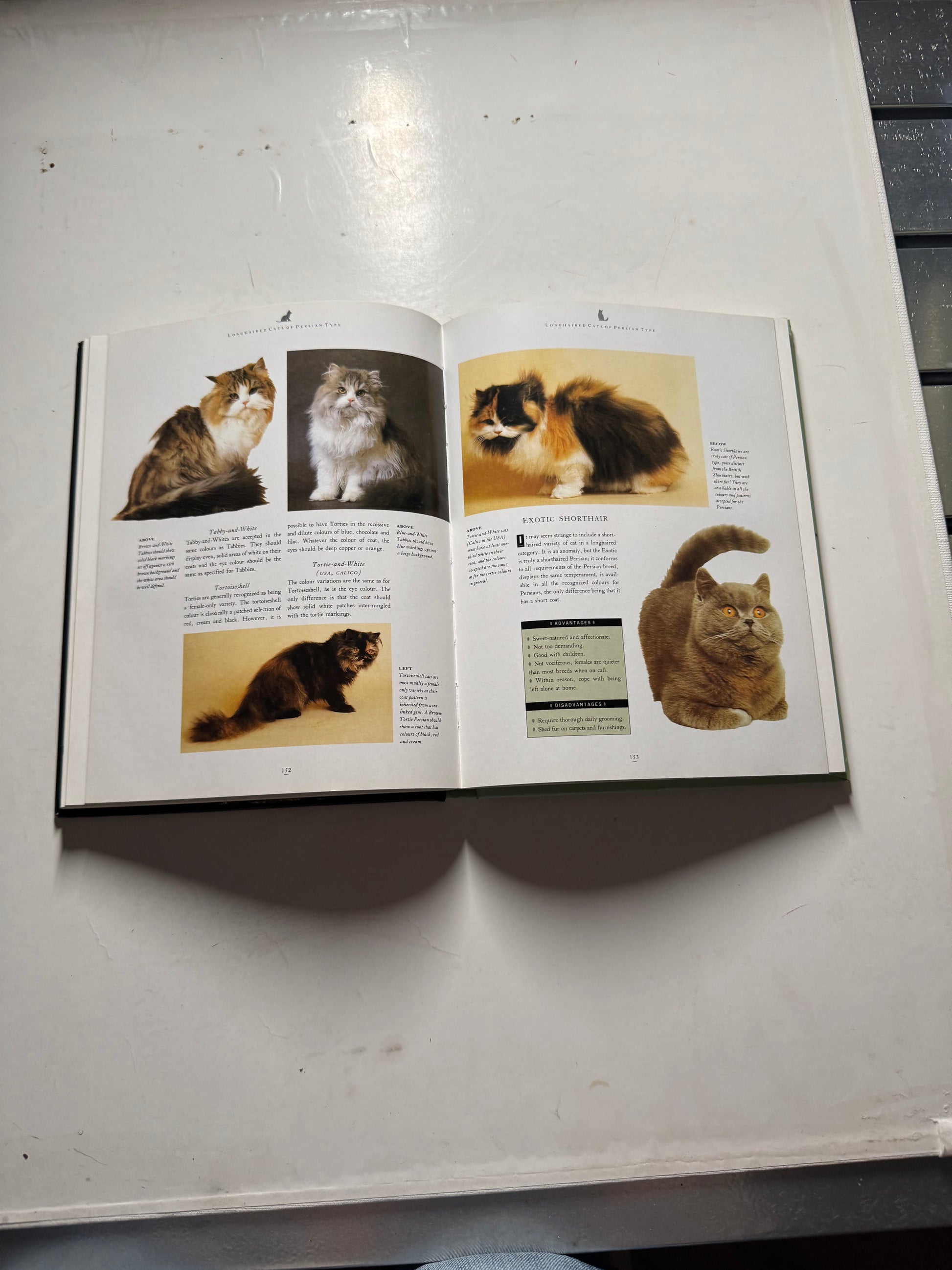 The Complete Cat Book