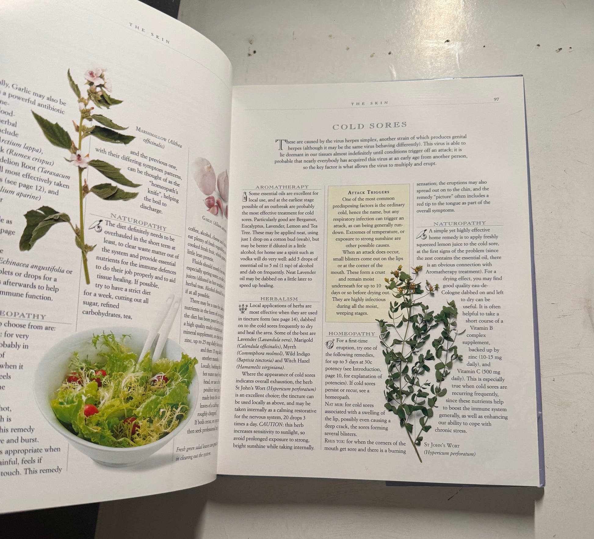Nature’s way to Health and Healing
