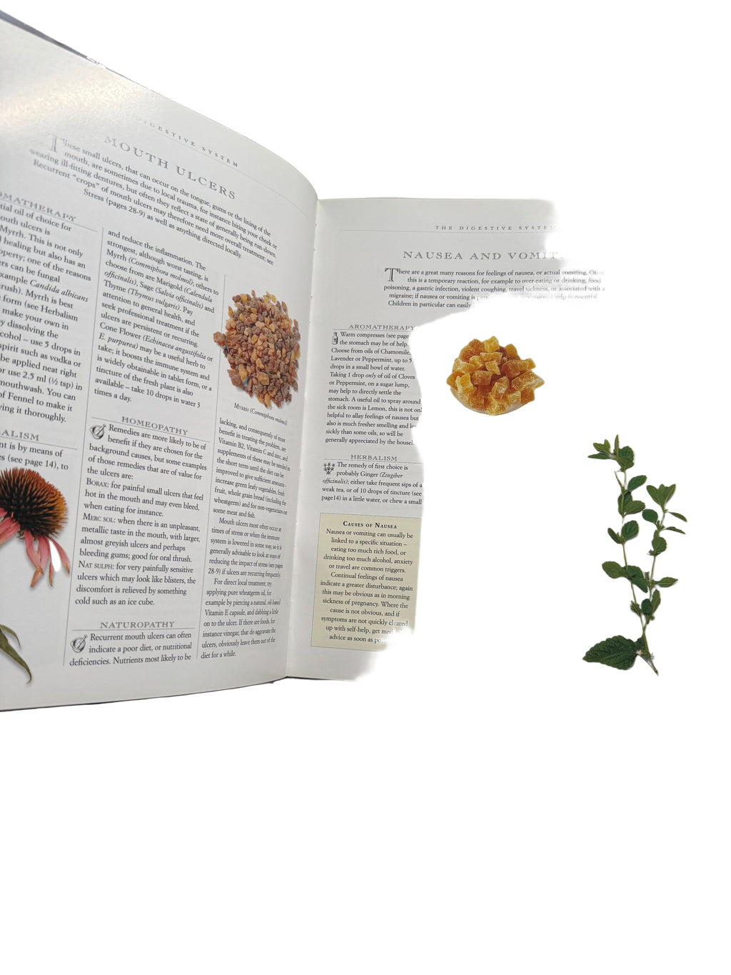 Nature’s way to Health and Healing